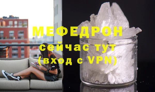 МДПВ Бородино