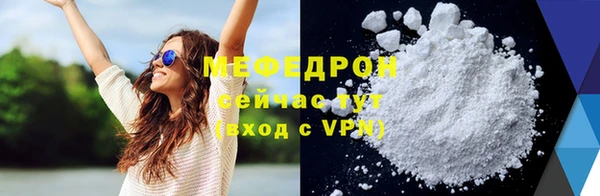 МДПВ Бородино