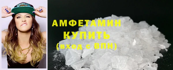 МДПВ Бородино