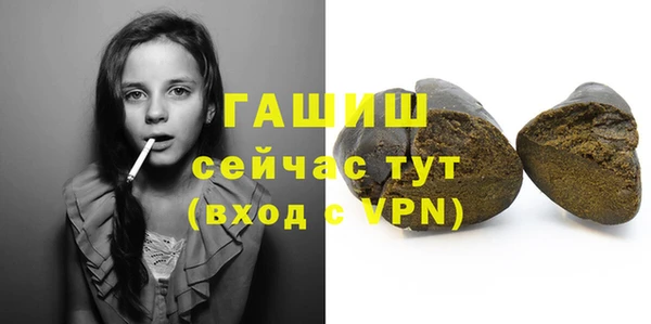 МДПВ Бородино