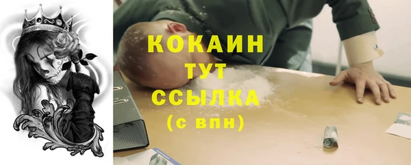 МДПВ Бородино