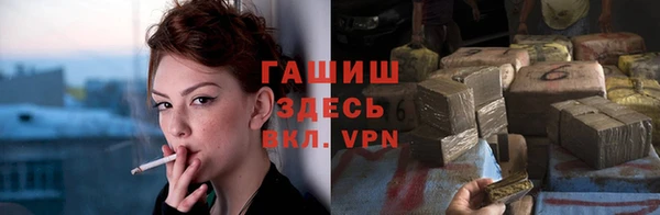 МДПВ Бородино