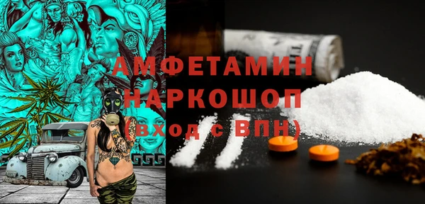 МДПВ Бородино