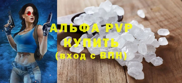 МДПВ Бородино