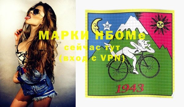 МДПВ Бородино