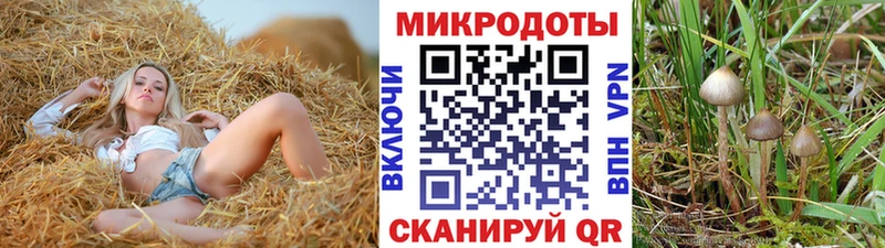 shop состав  Калуга  Галлюциногенные грибы MAGIC MUSHROOMS 